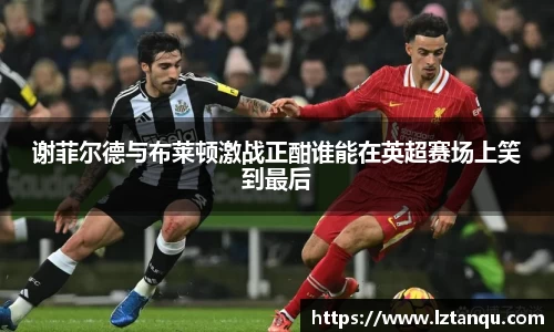 谢菲尔德与布莱顿激战正酣谁能在英超赛场上笑到最后